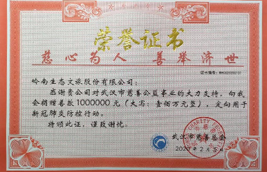 幸运彩股份向武汉市慈善总会捐赠人民币100万元