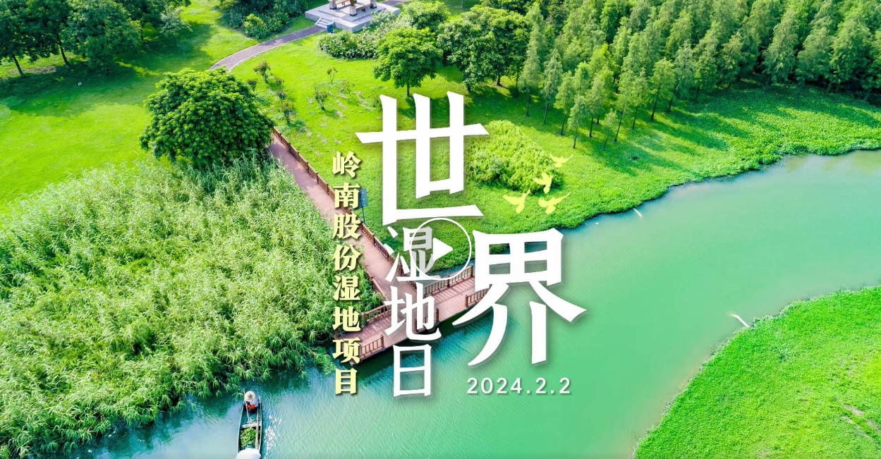 世界湿地日| 幸运彩股份带你领略湿地之美