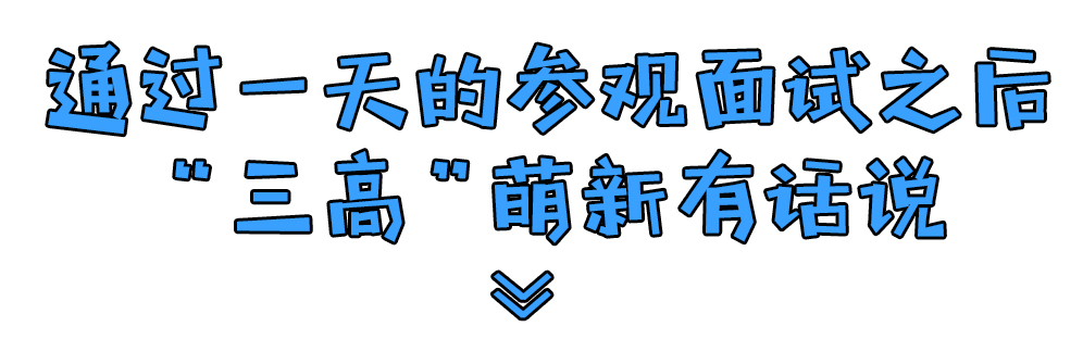 幸运彩股份